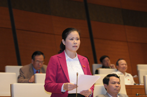 Đại biểu QH Bạch Thị Hương Thủy phát biểu tại hội trường.

